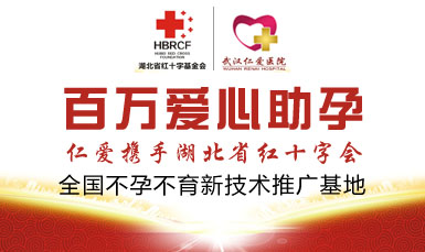 湖北紅十字安貞救助基金